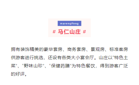 午夜熟女插插XX免费视频