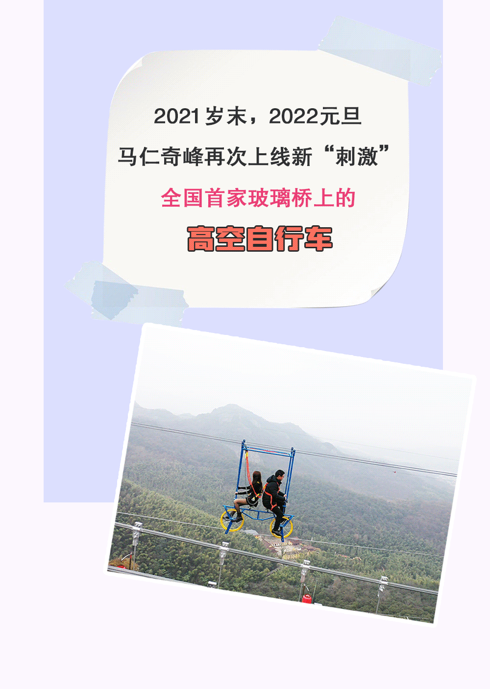 午夜熟女插插XX免费视频