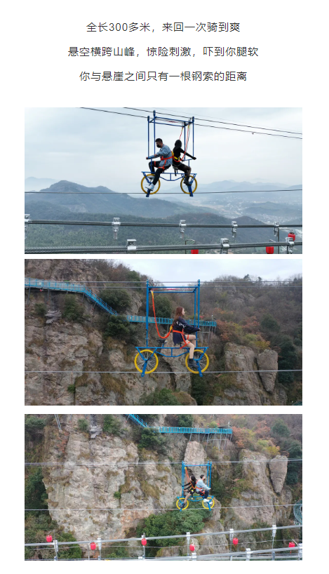 午夜熟女插插XX免费视频