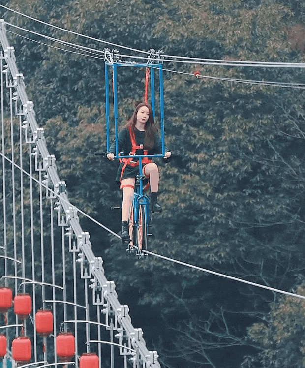 午夜熟女插插XX免费视频