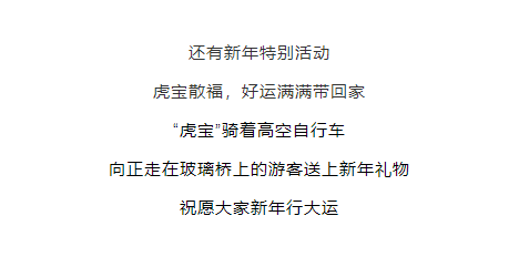 午夜熟女插插XX免费视频