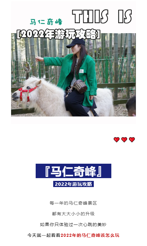 午夜熟女插插XX免费视频