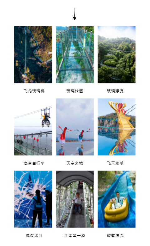 午夜熟女插插XX免费视频