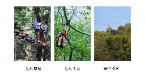 午夜熟女插插XX免费视频