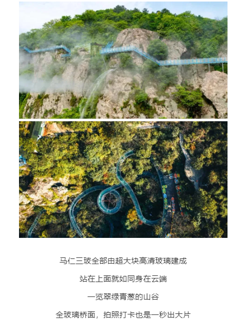 午夜熟女插插XX免费视频