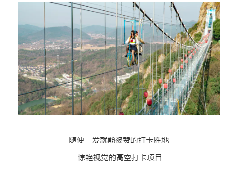 午夜熟女插插XX免费视频