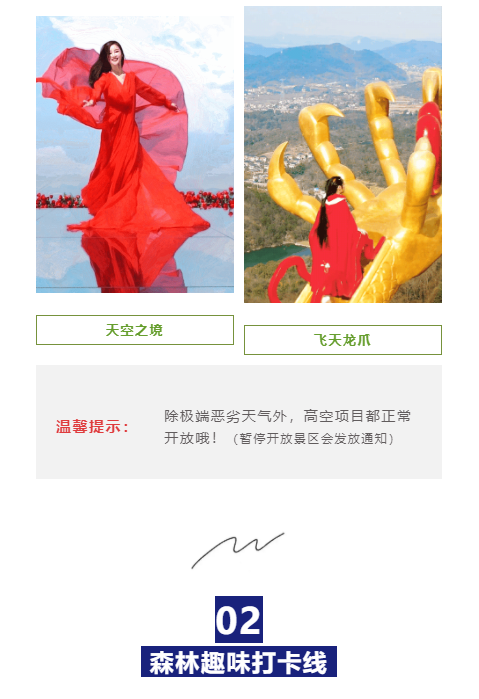 午夜熟女插插XX免费视频