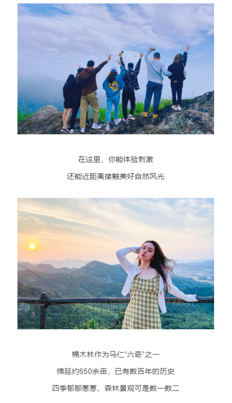 午夜熟女插插XX免费视频