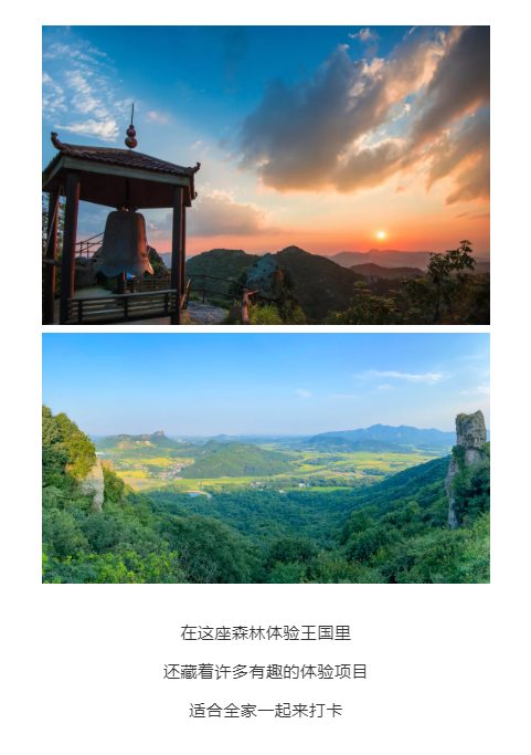 午夜熟女插插XX免费视频