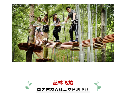 午夜熟女插插XX免费视频