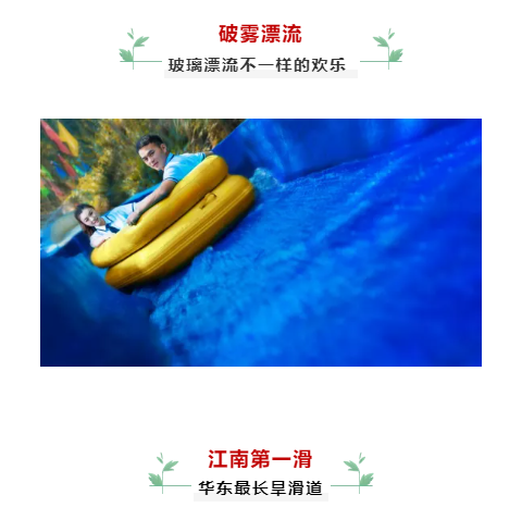 午夜熟女插插XX免费视频