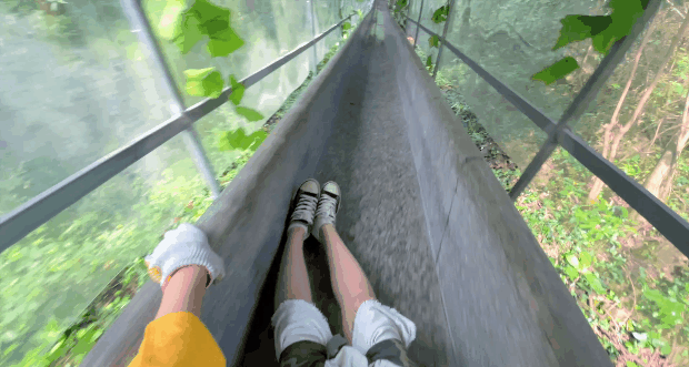 午夜熟女插插XX免费视频