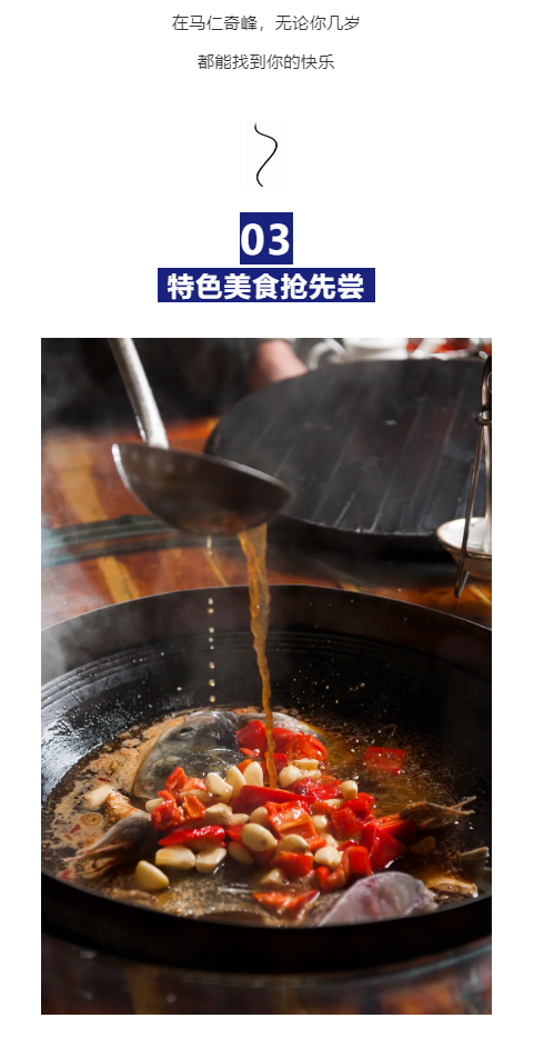 午夜熟女插插XX免费视频