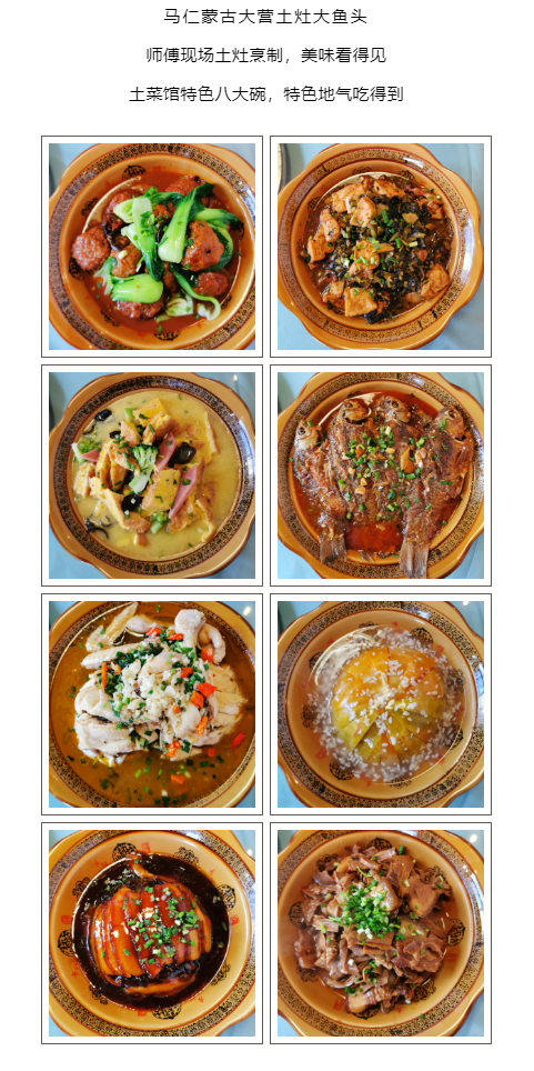 午夜熟女插插XX免费视频