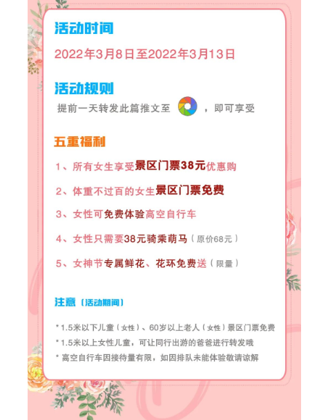 午夜熟女插插XX免费视频