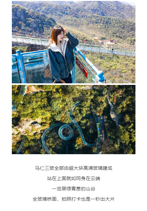 午夜熟女插插XX免费视频