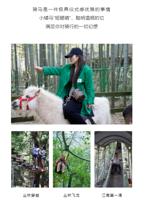 午夜熟女插插XX免费视频