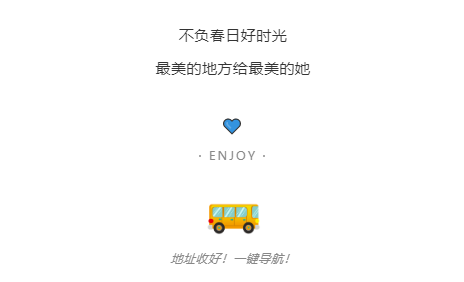 午夜熟女插插XX免费视频