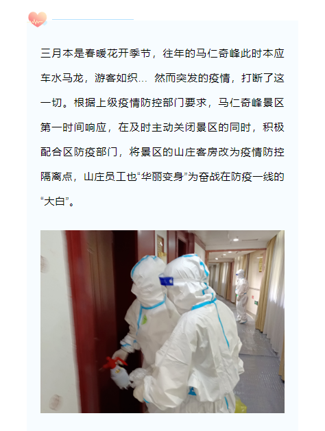 午夜熟女插插XX免费视频