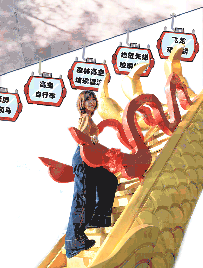 午夜熟女插插XX免费视频