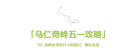 午夜熟女插插XX免费视频