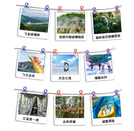 午夜熟女插插XX免费视频