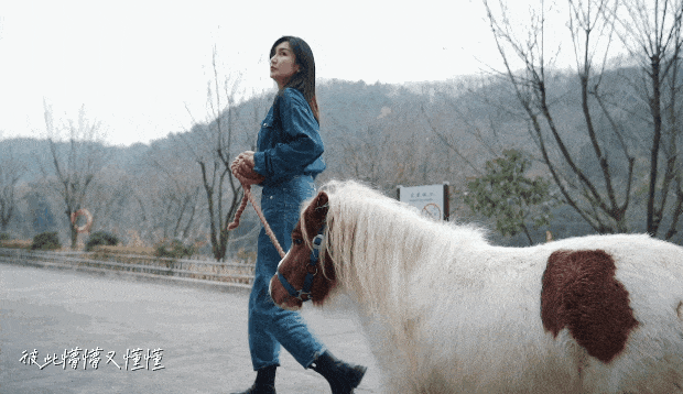 午夜熟女插插XX免费视频