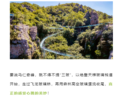 午夜熟女插插XX免费视频