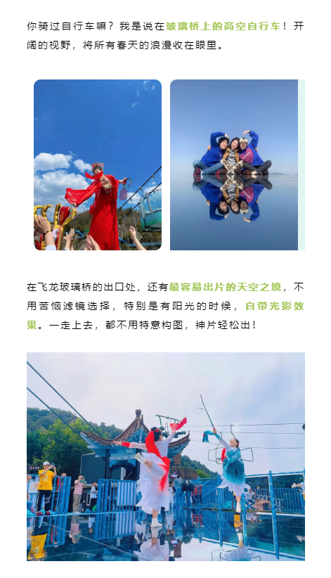 午夜熟女插插XX免费视频