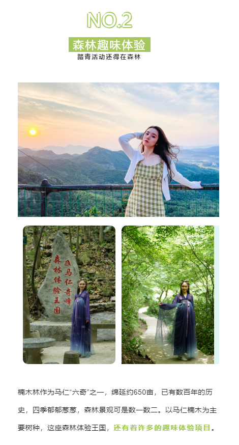 午夜熟女插插XX免费视频