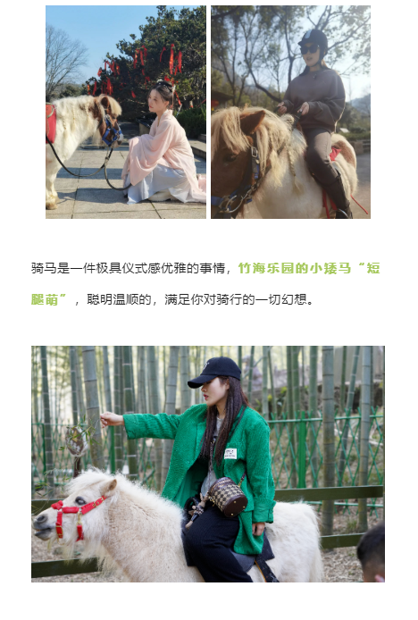 午夜熟女插插XX免费视频