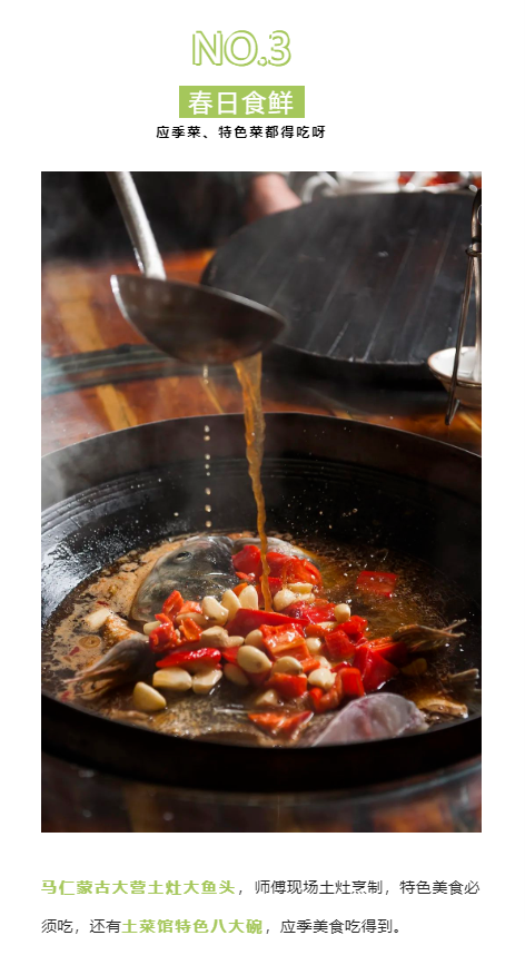 午夜熟女插插XX免费视频