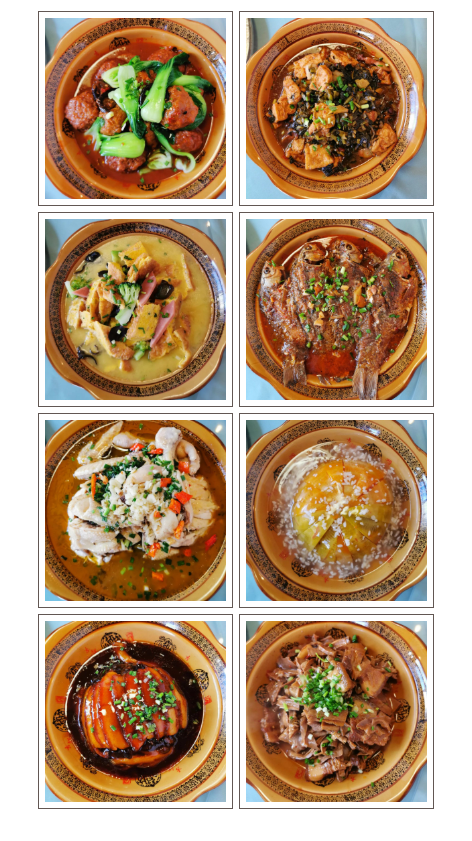 午夜熟女插插XX免费视频