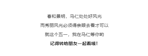 午夜熟女插插XX免费视频