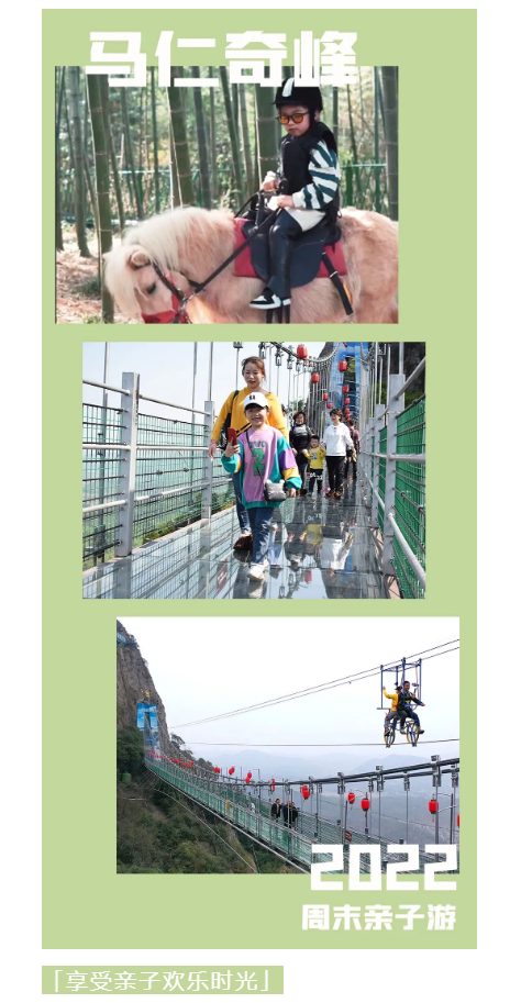 午夜熟女插插XX免费视频