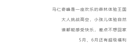 午夜熟女插插XX免费视频