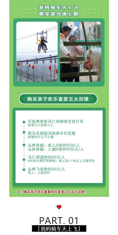 午夜熟女插插XX免费视频