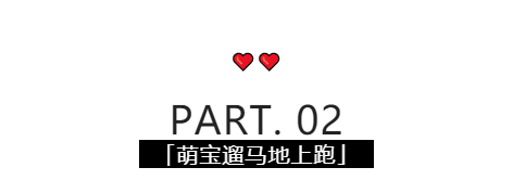 午夜熟女插插XX免费视频