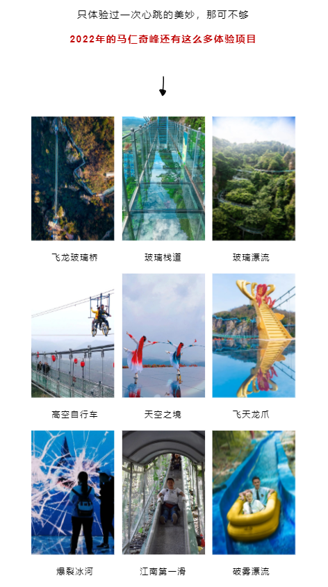 午夜熟女插插XX免费视频