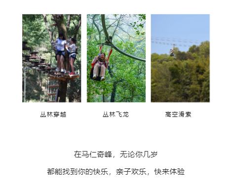 午夜熟女插插XX免费视频