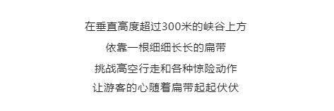 午夜熟女插插XX免费视频