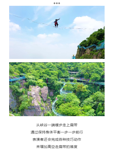 午夜熟女插插XX免费视频