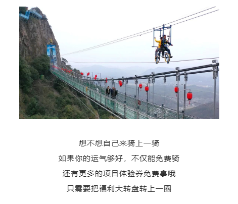 午夜熟女插插XX免费视频