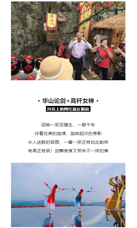 午夜熟女插插XX免费视频