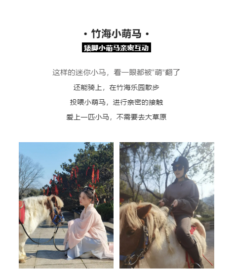 午夜熟女插插XX免费视频