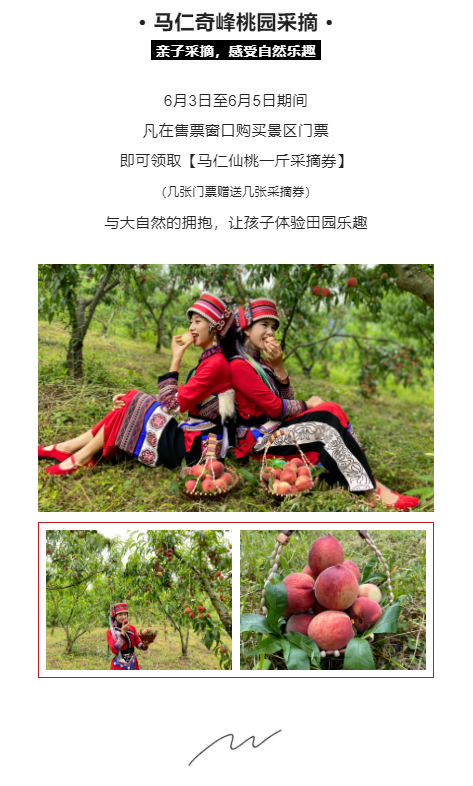 午夜熟女插插XX免费视频