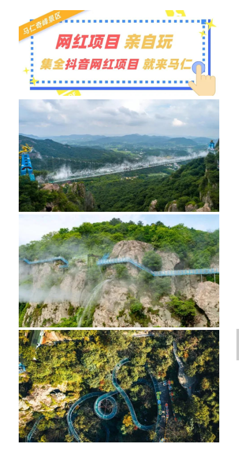 午夜熟女插插XX免费视频