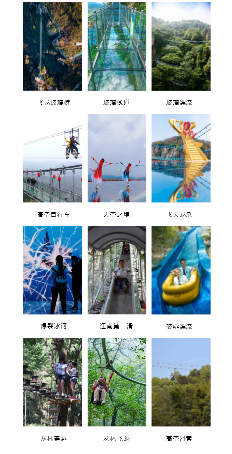 午夜熟女插插XX免费视频