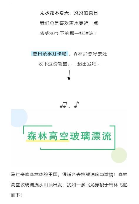 午夜熟女插插XX免费视频