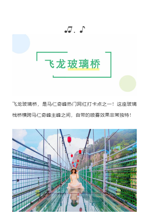 午夜熟女插插XX免费视频